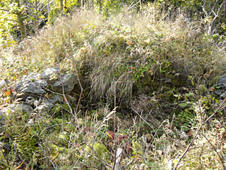 hlavni_hrad_5.gif