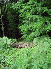 lanovka_1.gif