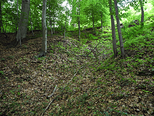 lanovka_2.gif