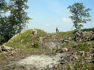 refektar_5.gif