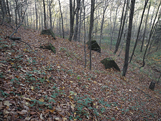 lanova_draha_11.gif