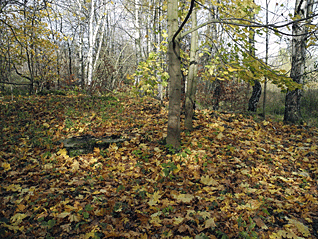 lanova_draha_13.gif