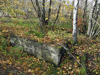 lanova_draha_14.gif