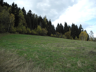 lanova_draha_4.gif