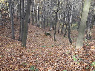 lanova_draha_8.gif