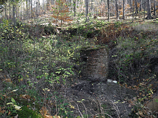 stola_ernestina_3.gif