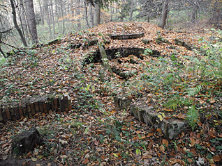 stola_ernestina_5.gif