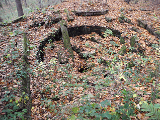 stola_ernestina_6.gif