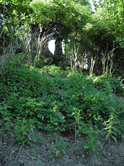 krizova_cesta_10.gif