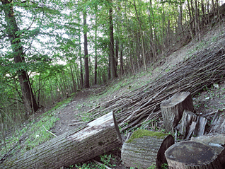 pesina_obtacejici_se_kolem_hradniho_vrchu_1.gif