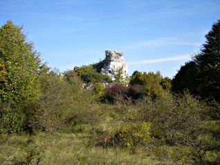 jura_krakowsko-czestochowska_2.gif