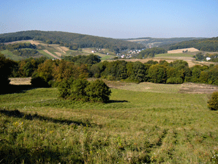 krajina_v_okoli_przemyslu.gif