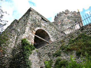 hrad_bolkow_1.gif