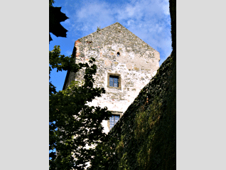 hrad_bolkow_2.gif