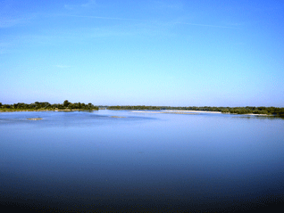 wisla.gif