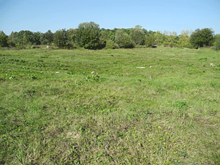mauzoleum_hindenburga_6.gif