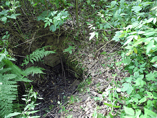 drenazni_kanal.gif