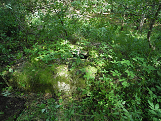 soustava_studni_4.gif